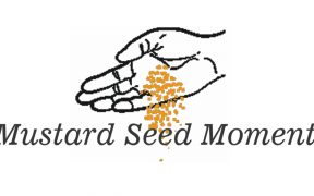 Mustard Seed Moments