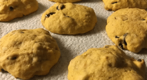 Cranberry Pumpkin Cookies